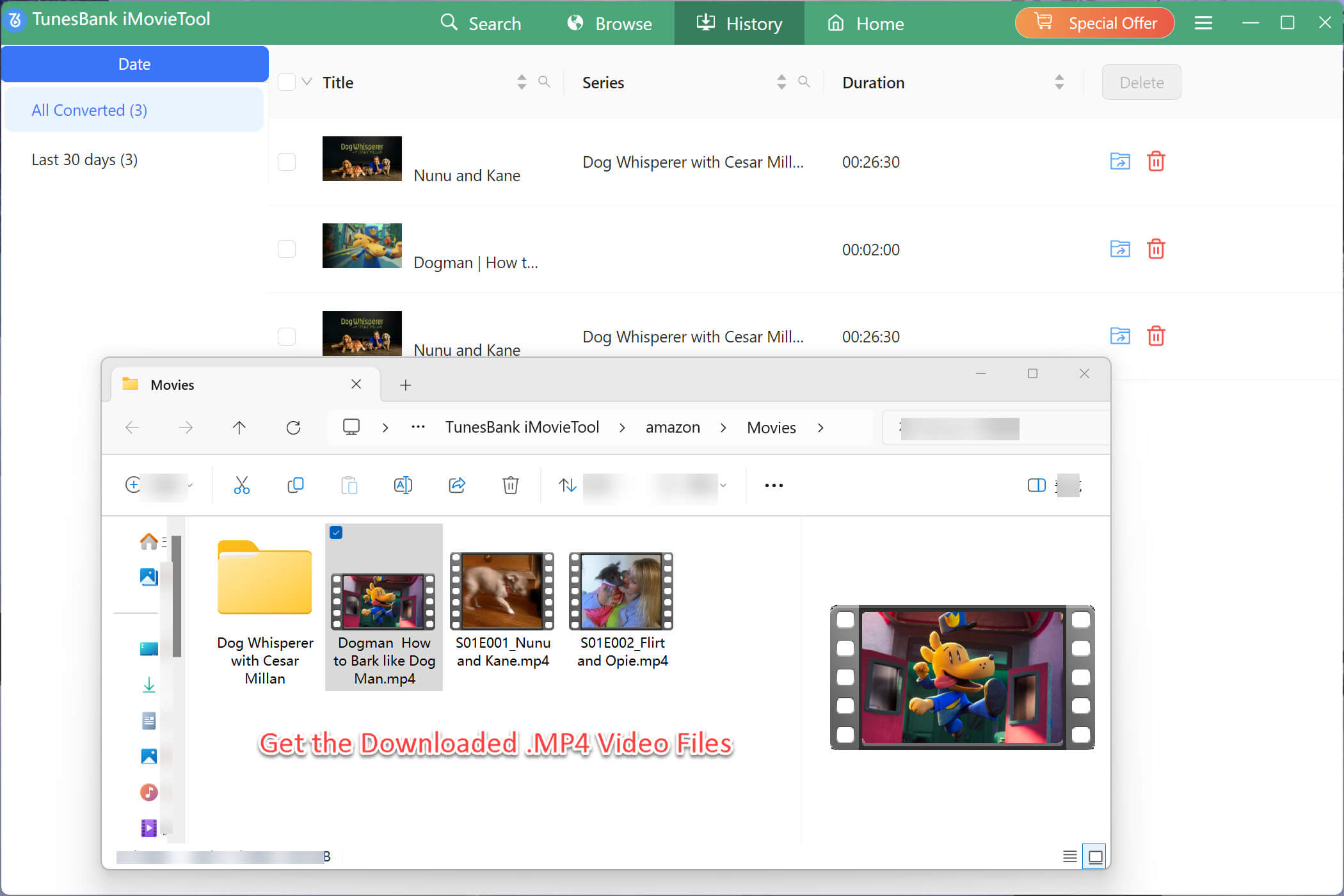 Netflix Video Downloader
